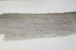 Plane Polarized, S55072