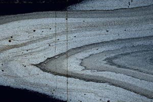 Cross Polarized, S55073