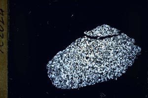 Cross Polarized, S55082