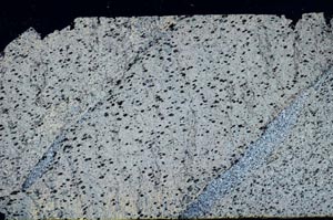 Cross Polarized, S55106