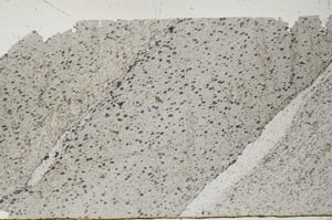 Plane Polarized, S55106