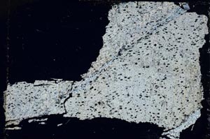 Cross Polarized, S55106/A