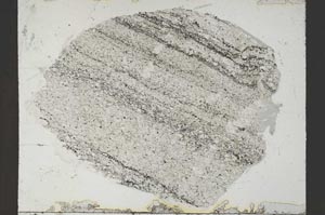 Plane Polarized, S55108