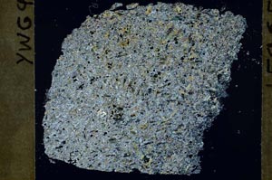 Cross Polarized, S55110