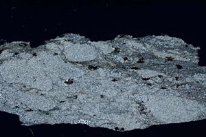 Cross Polarized, S55113