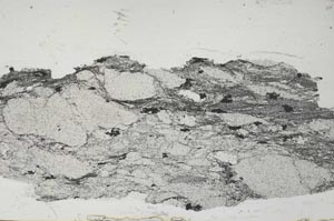 Plane Polarized, S55113