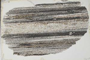 Plane Polarized, S55114