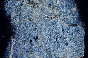 Cross Polarized, S55115