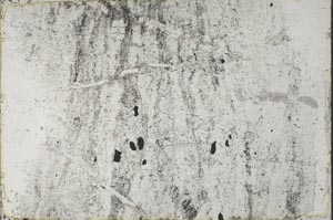 Plane Polarized, S55115