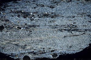 Cross Polarized, S55116