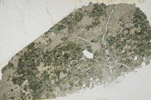 Plane Polarized, S55117