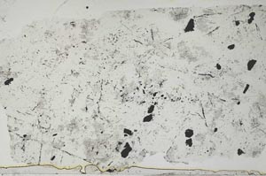 Plane Polarized, S55118