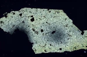 Cross Polarized, S55120