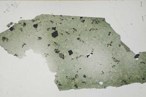 Plane Polarized, S55120