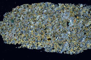 Cross Polarized, S55121