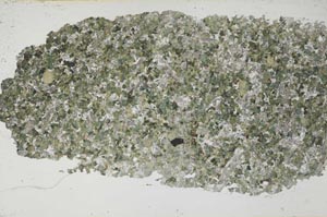 Plane Polarized, S55121