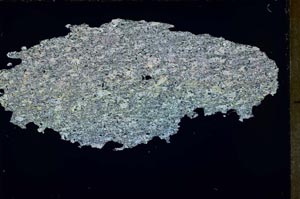 Cross Polarized, S55123