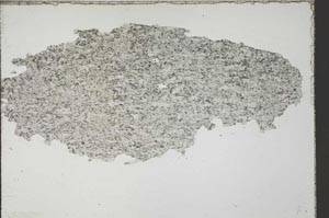 Plane Polarized, S55123