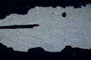 Cross Polarized, S55124