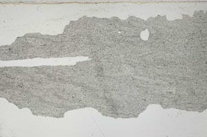 Plane Polarized, S55124