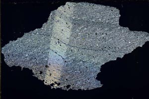 Cross Polarized, S55125