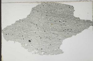 Plane Polarized, S55125