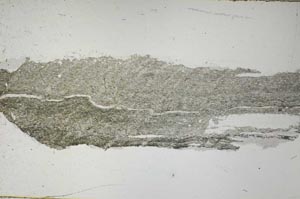 Plane Polarized, S55126