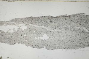 Plane Polarized, S55127