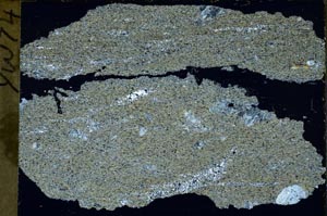 Cross Polarized, S55128