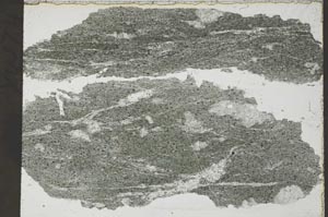 Plane Polarized, S55128