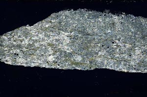 Cross Polarized, S55129