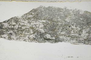 Plane Polarized, S55129