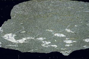 Cross Polarized, S55130