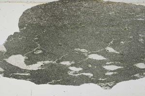 Plane Polarized, S55130