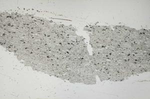 Plane Polarized, S55131