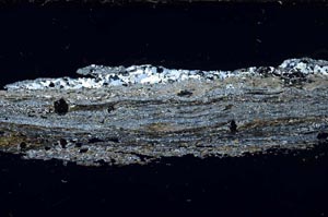 Cross Polarized, S55132