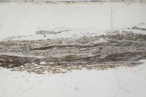 Plane Polarized, S55132