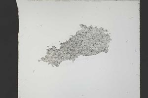 Plane Polarized, S55133