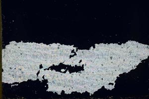 Cross Polarized, S55134