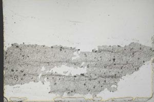 Plane Polarized, S55134