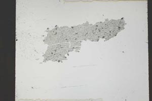 Plane Polarized, S55134/A