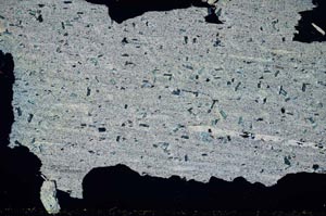 Cross Polarized, S55135