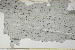 Plane Polarized, S55135