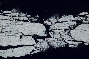 Cross Polarized, S55135/A