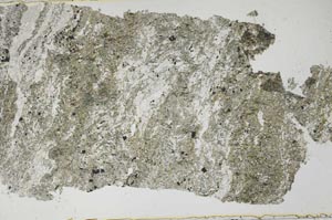 Plane Polarized, S55136