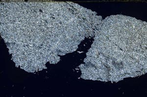 Cross Polarized, S55139