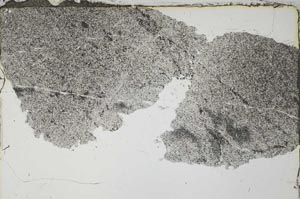 Plane Polarized, S55139