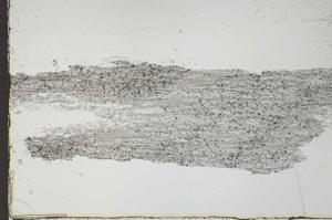 Plane Polarized, S55140