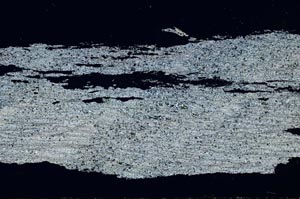 Cross Polarized, S55140/A