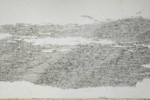 Plane Polarized, S55140/A